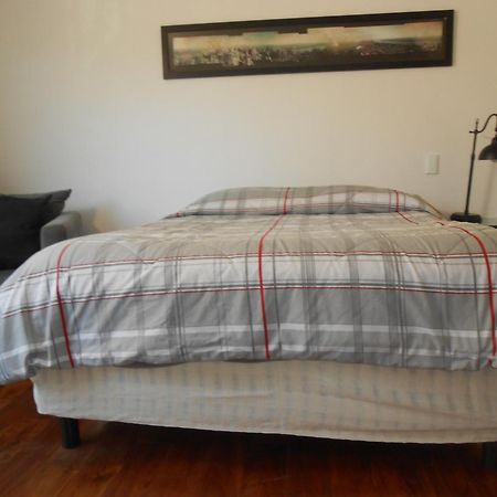 Terraza & Loft San Angel Apartman Mexikóváros Kültér fotó
