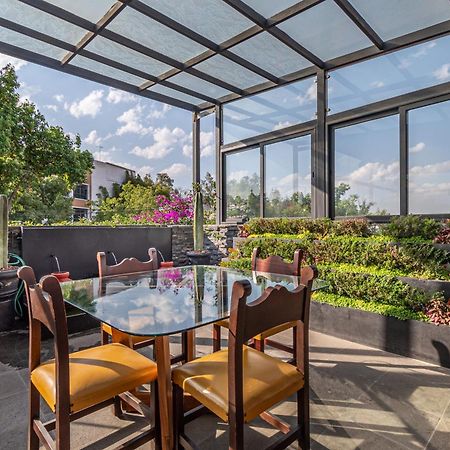 Terraza & Loft San Angel Apartman Mexikóváros Kültér fotó