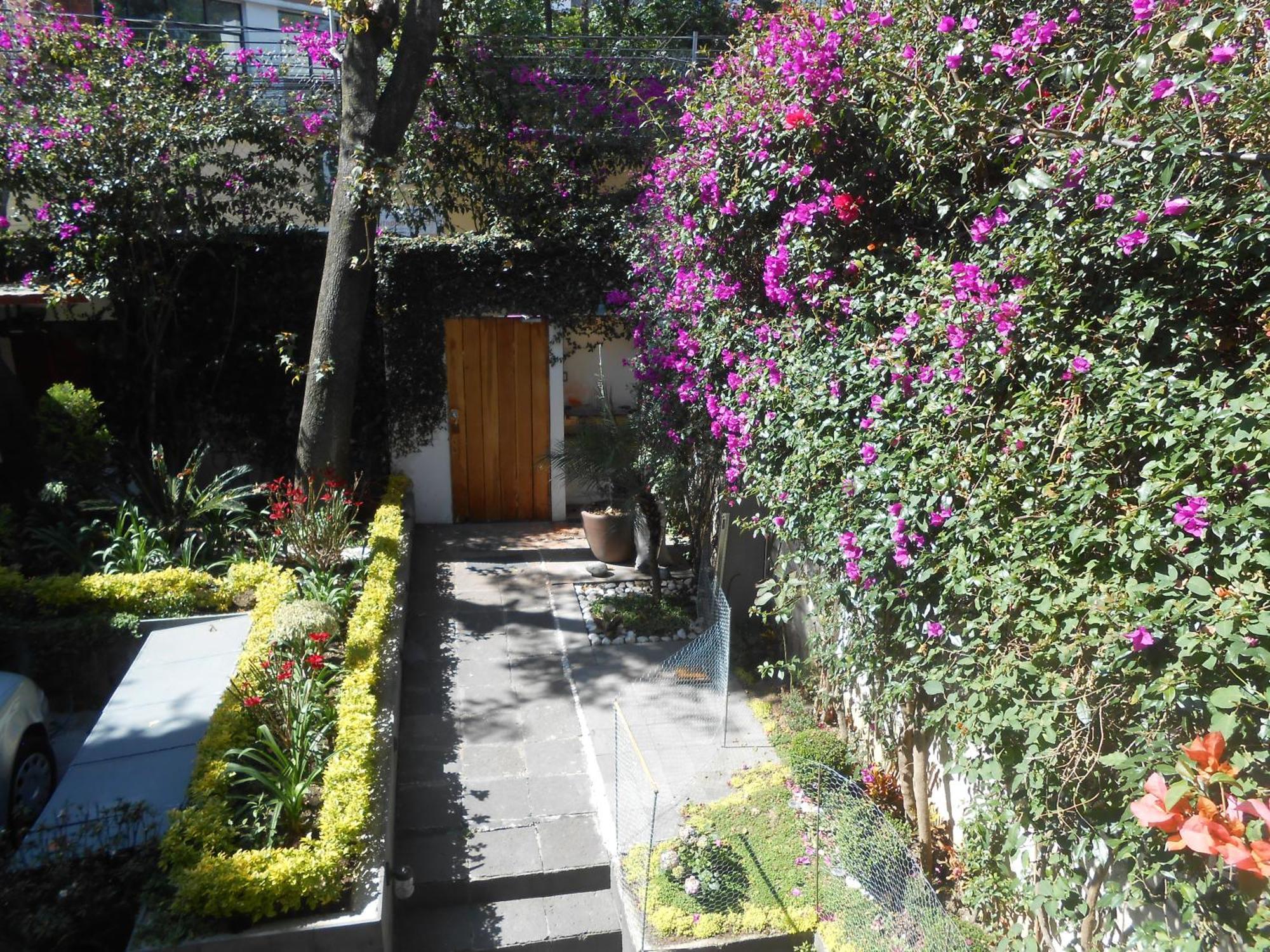Terraza & Loft San Angel Apartman Mexikóváros Kültér fotó
