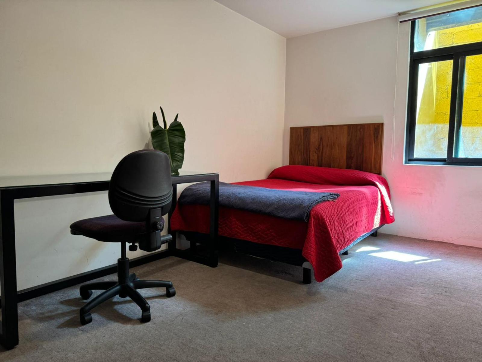 Terraza & Loft San Angel Apartman Mexikóváros Kültér fotó