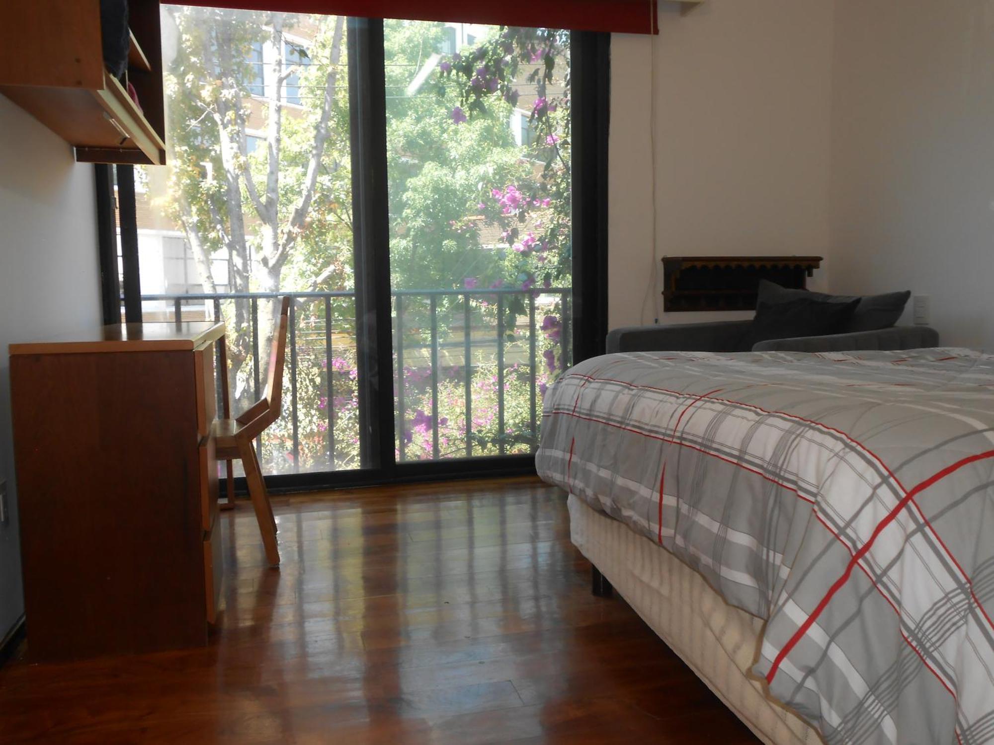 Terraza & Loft San Angel Apartman Mexikóváros Kültér fotó