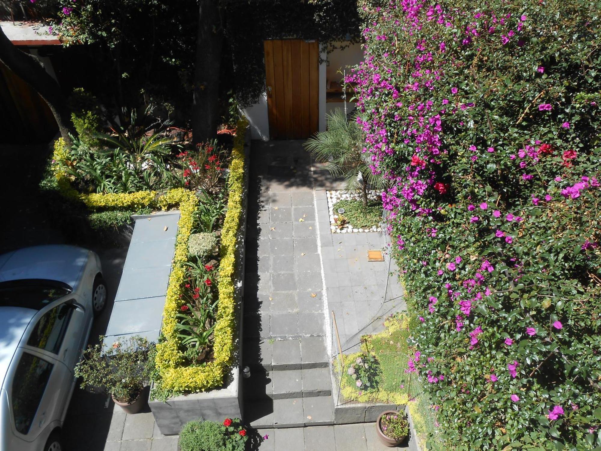 Terraza & Loft San Angel Apartman Mexikóváros Kültér fotó