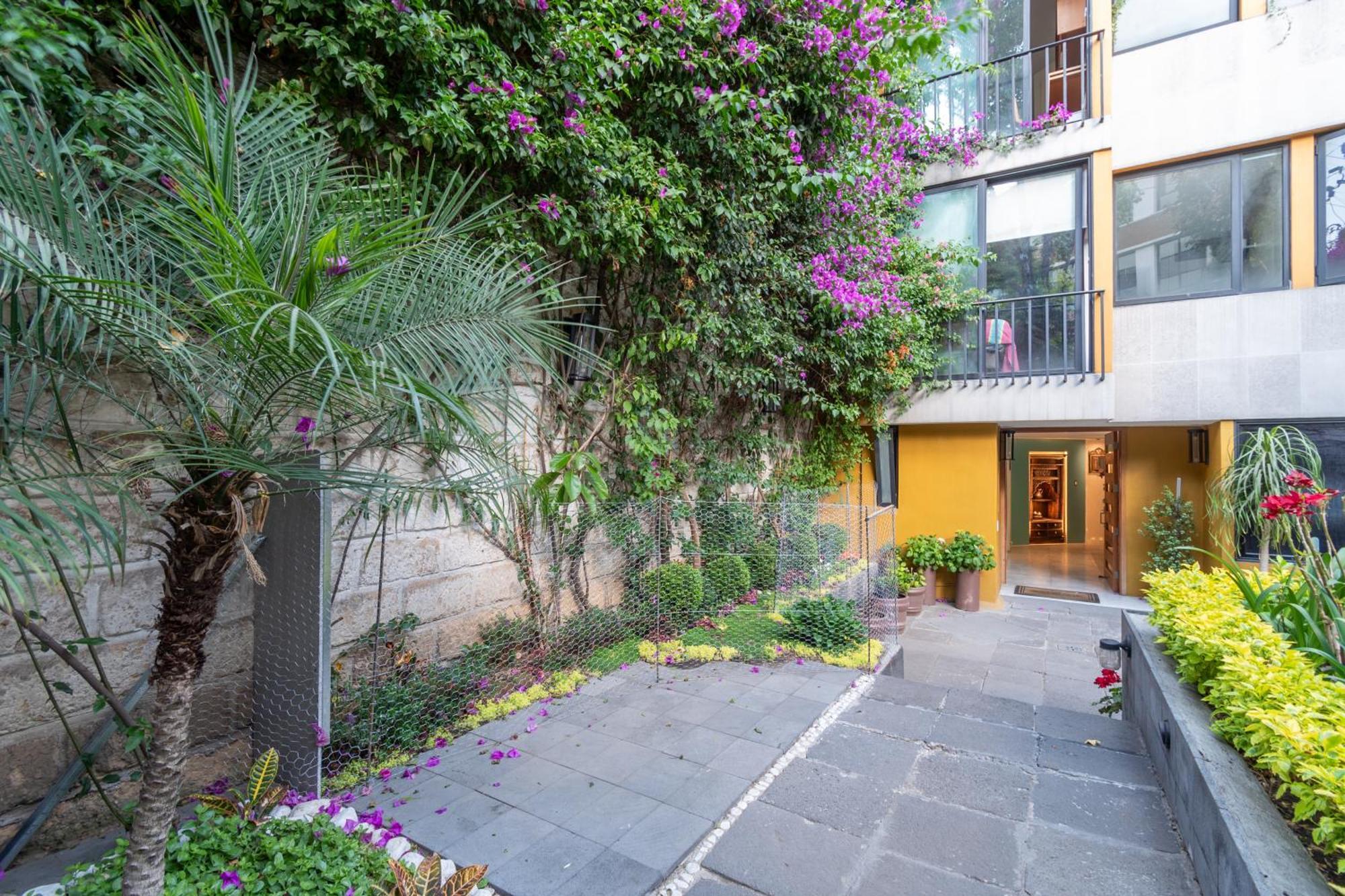 Terraza & Loft San Angel Apartman Mexikóváros Kültér fotó
