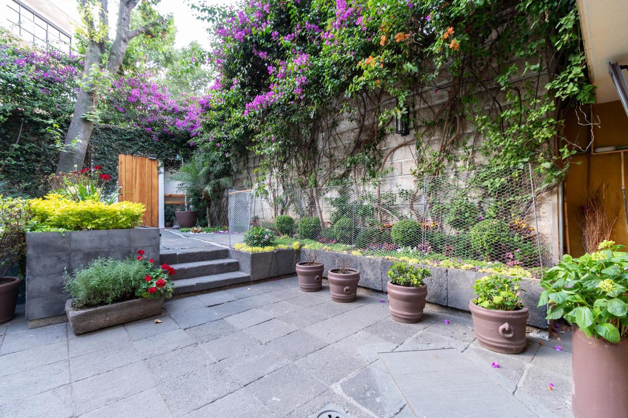 Terraza & Loft San Angel Apartman Mexikóváros Kültér fotó