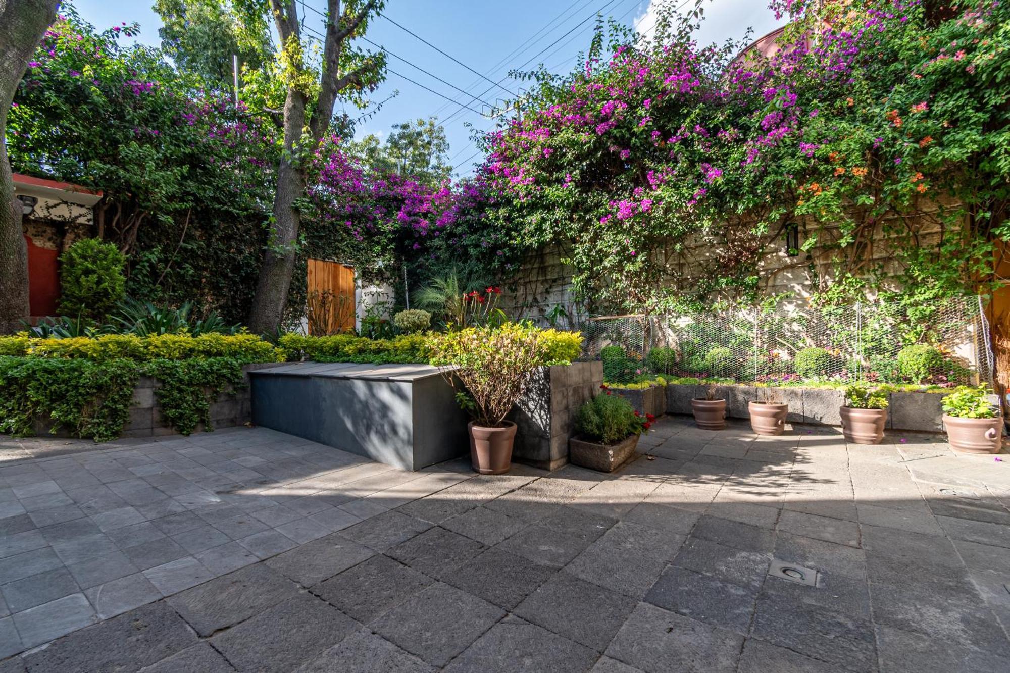 Terraza & Loft San Angel Apartman Mexikóváros Kültér fotó