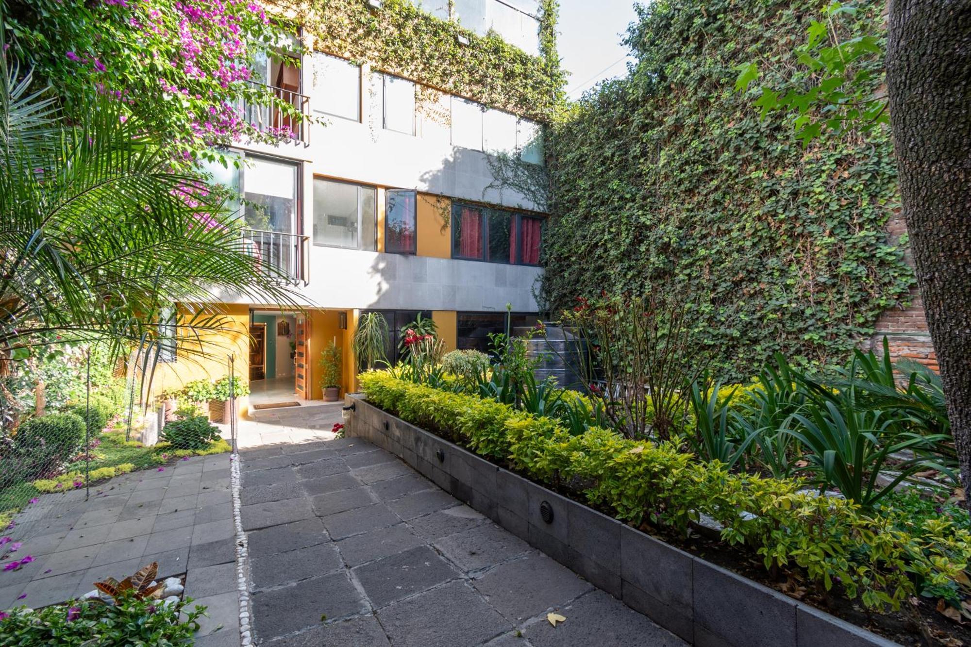 Terraza & Loft San Angel Apartman Mexikóváros Kültér fotó