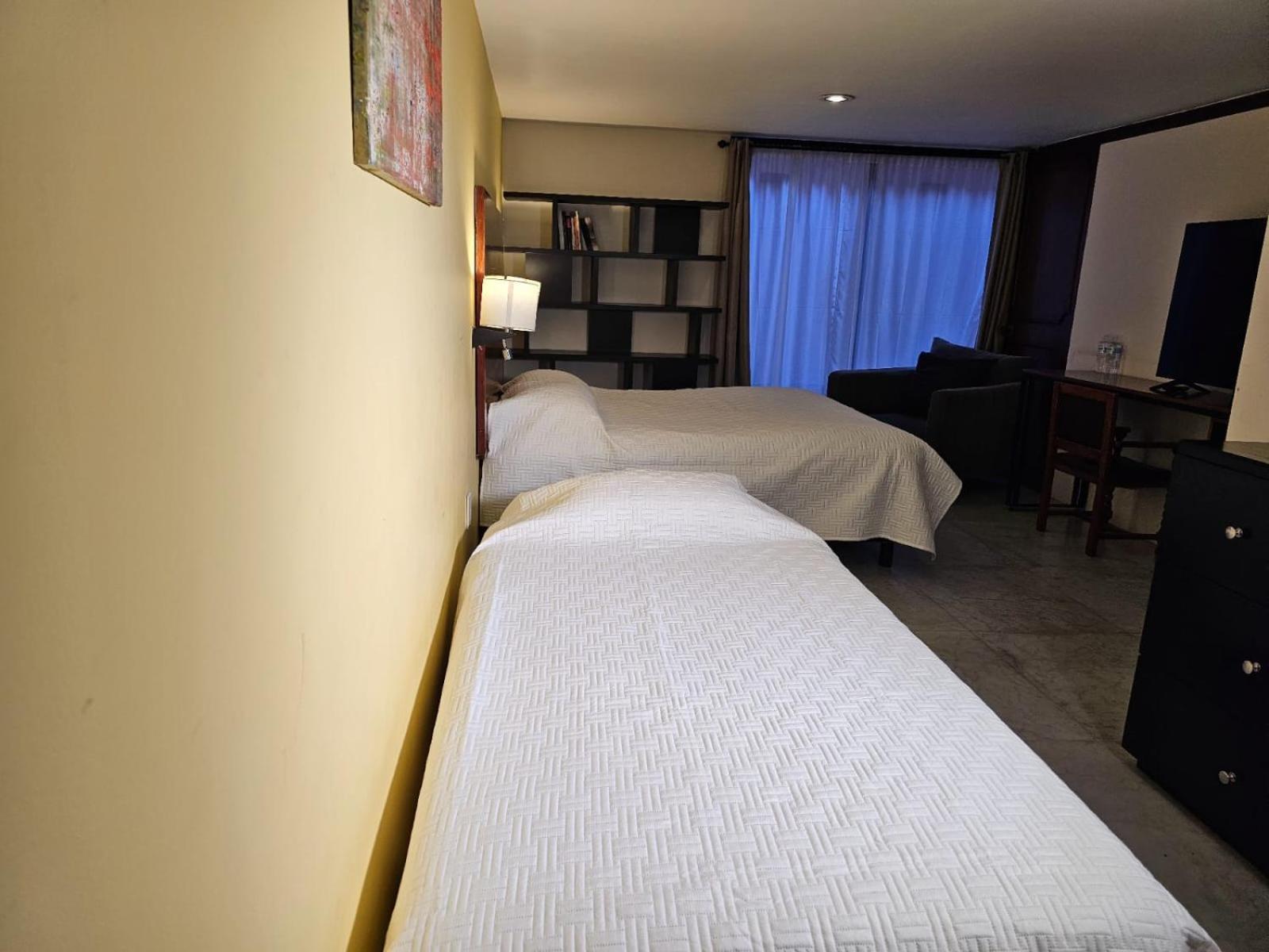 Terraza & Loft San Angel Apartman Mexikóváros Kültér fotó
