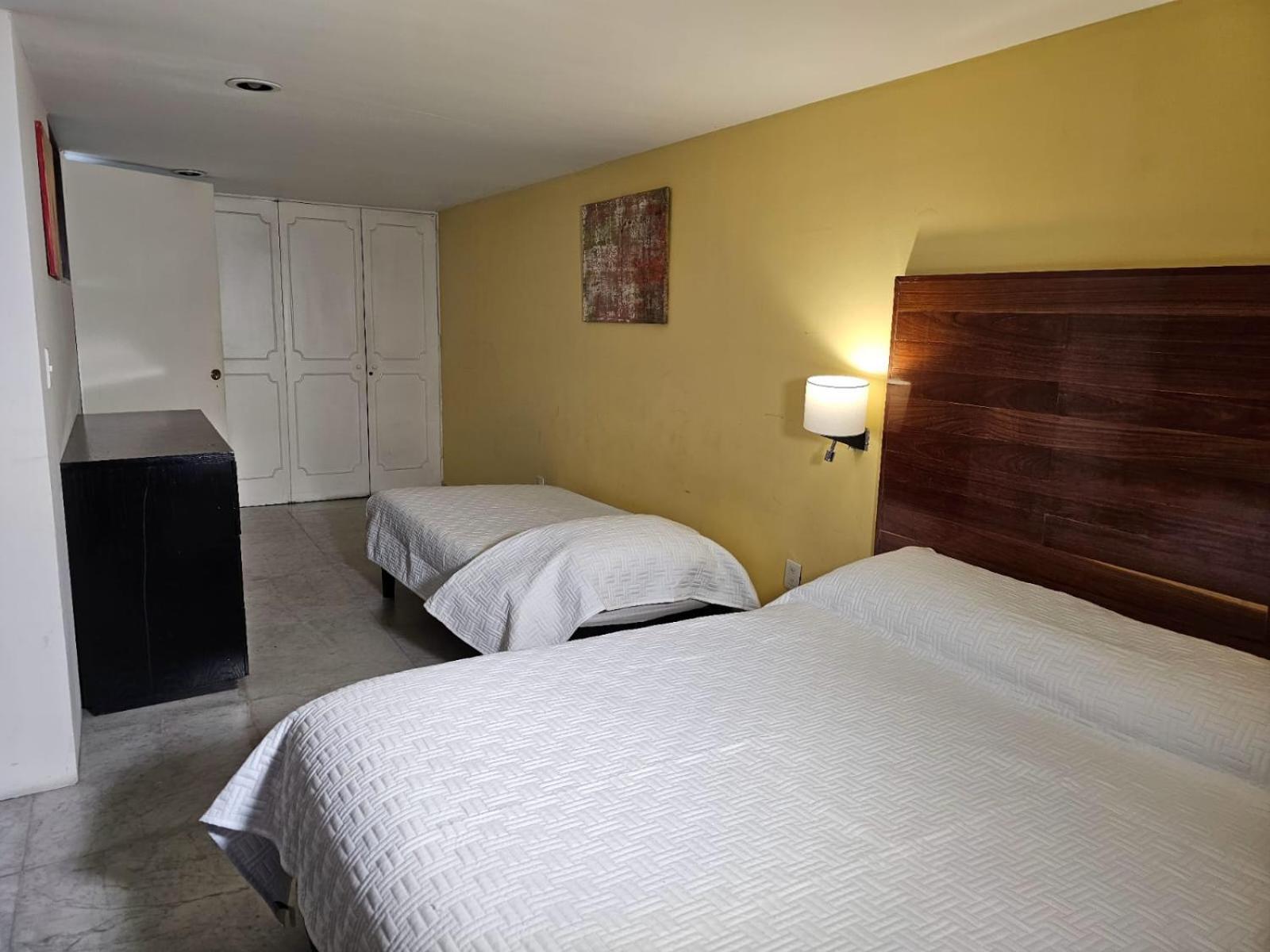 Terraza & Loft San Angel Apartman Mexikóváros Kültér fotó