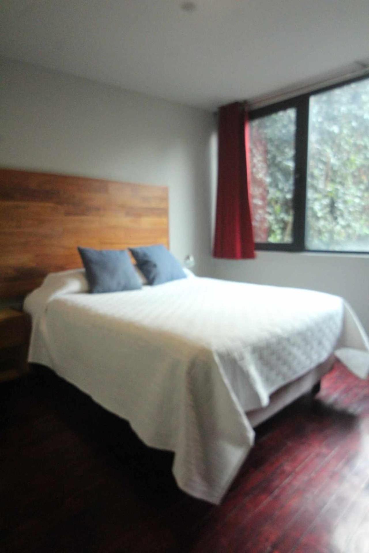 Terraza & Loft San Angel Apartman Mexikóváros Kültér fotó