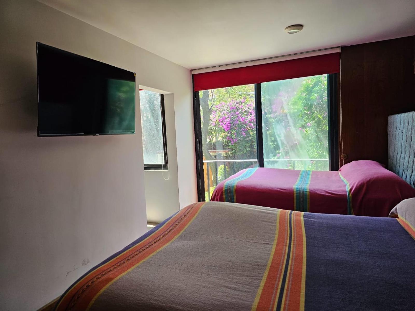 Terraza & Loft San Angel Apartman Mexikóváros Kültér fotó