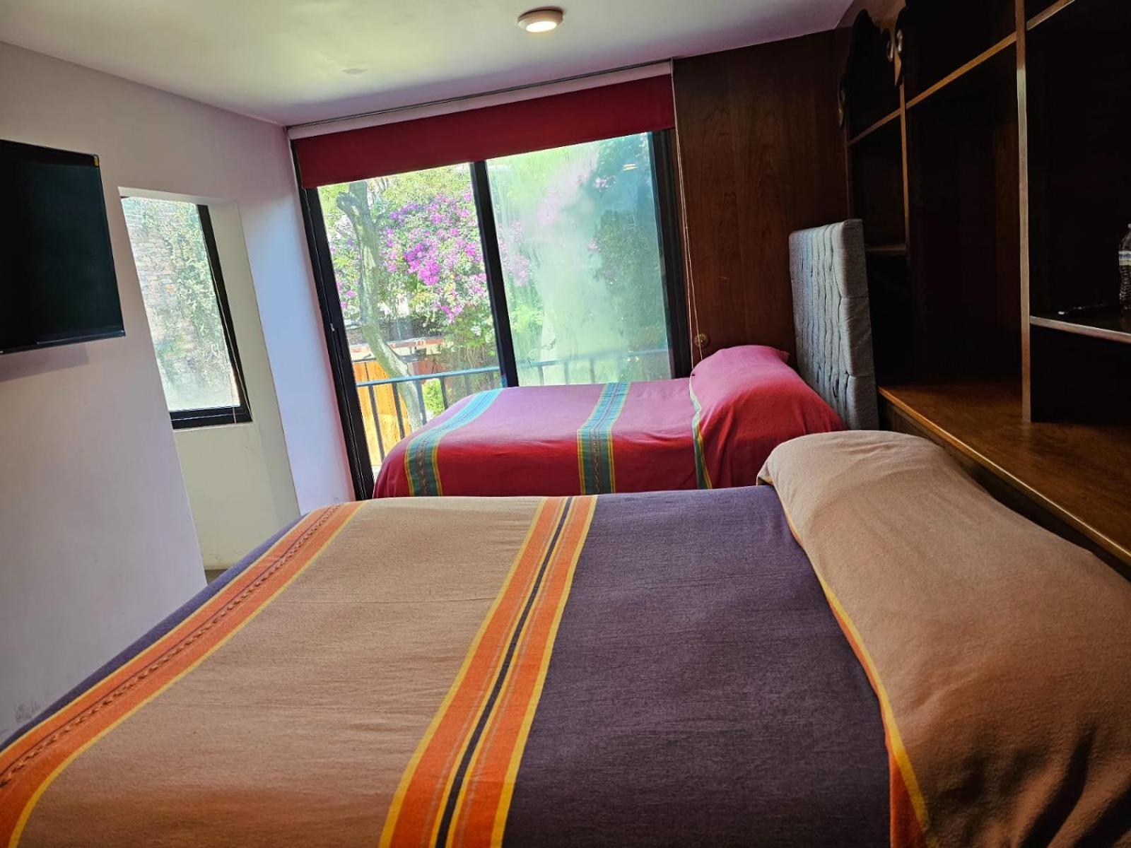 Terraza & Loft San Angel Apartman Mexikóváros Kültér fotó